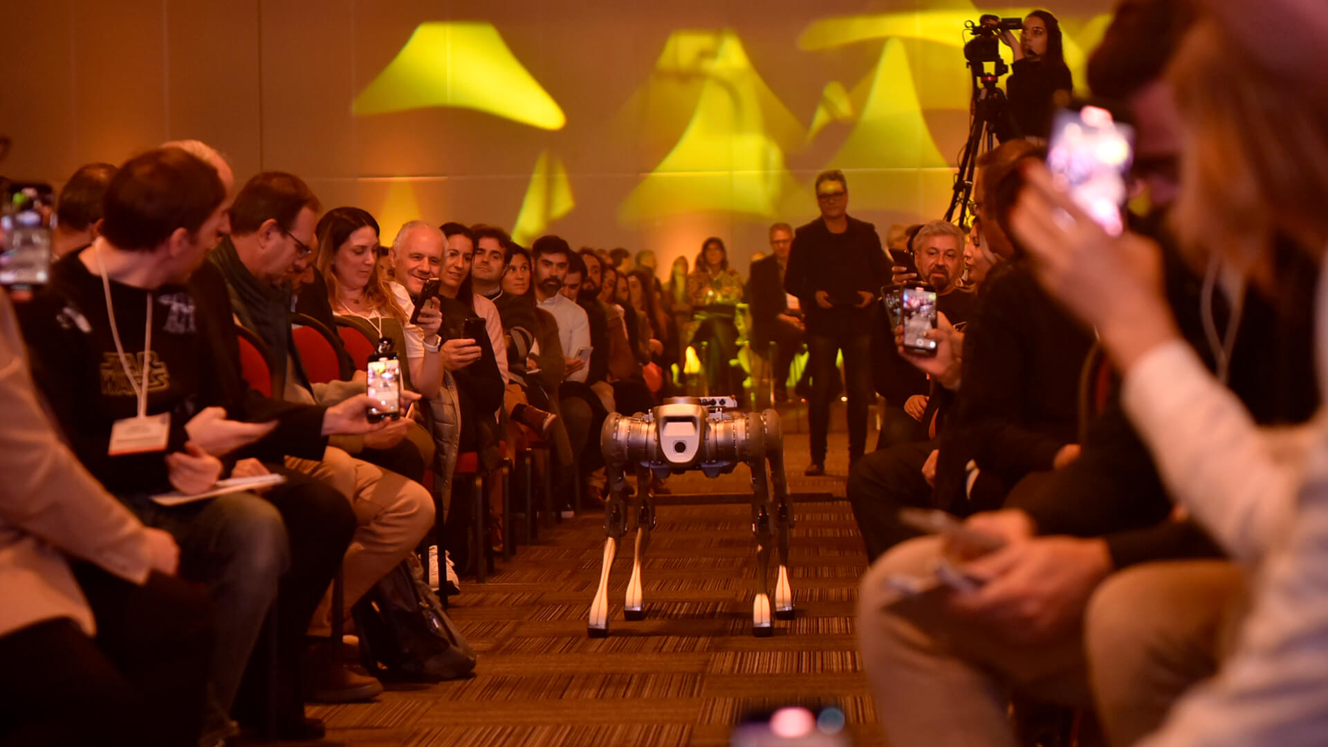 IDEA Management 2024